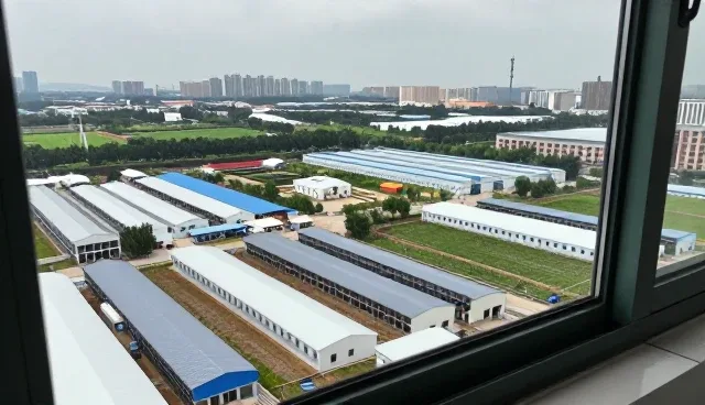 信息化方案在企业官网建设中的实际应用解析